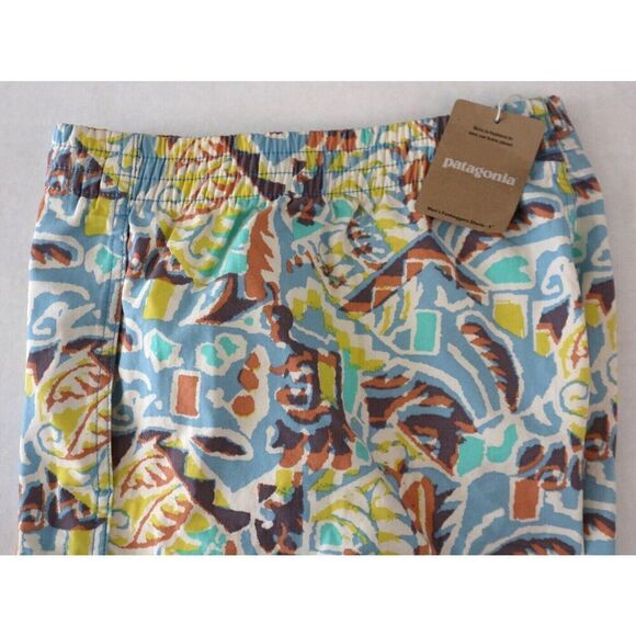 Patagonia Men’s Sz L Thriving Planet/Lago Blue Funhoggers 6" Woven Shorts - Picture 6 of 10